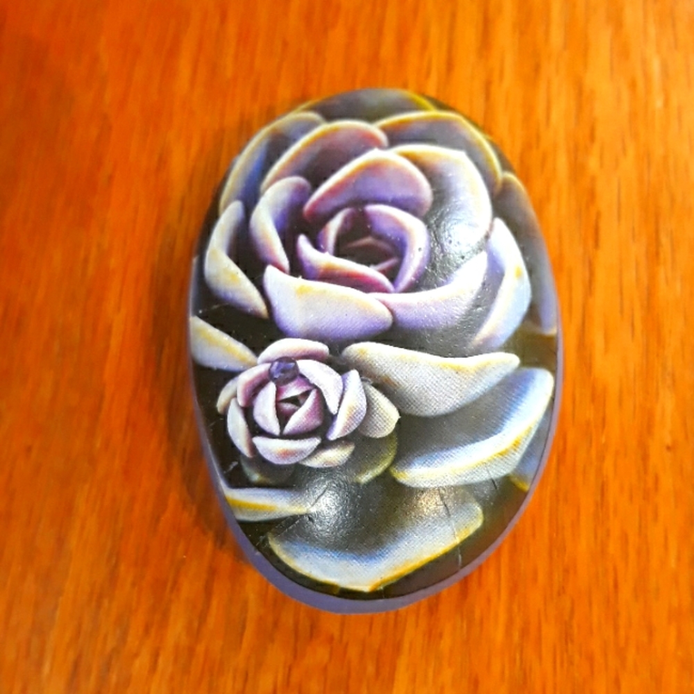 Succulent Art Rocks New - Picture 3 of 9
